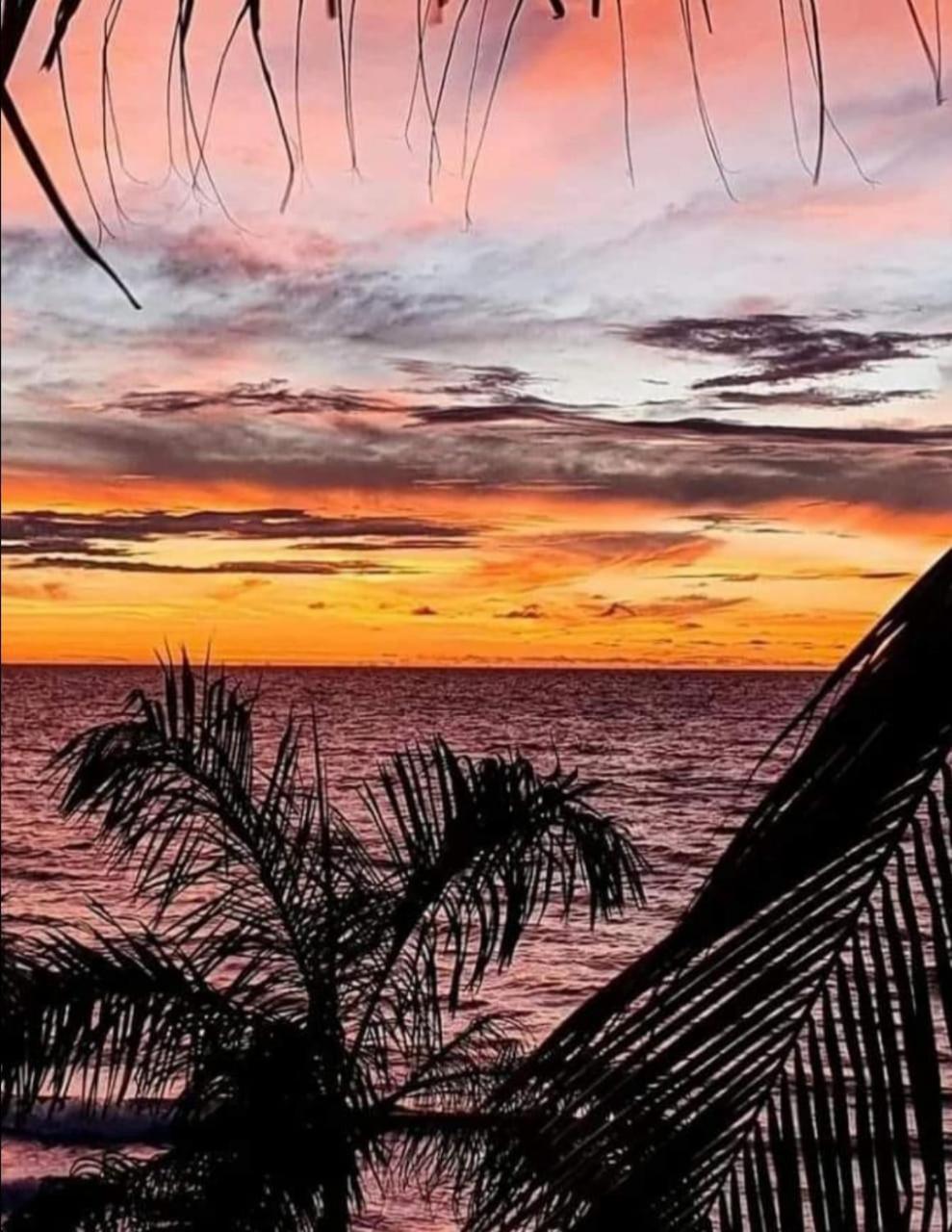 Hostal Corales Tolu Bagian luar foto