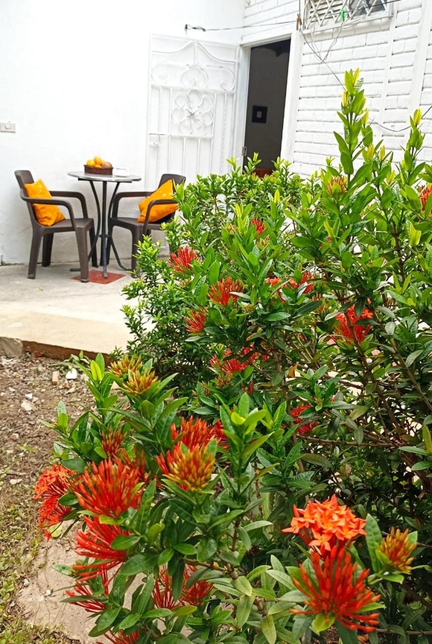 Hostal Corales Tolu Bagian luar foto