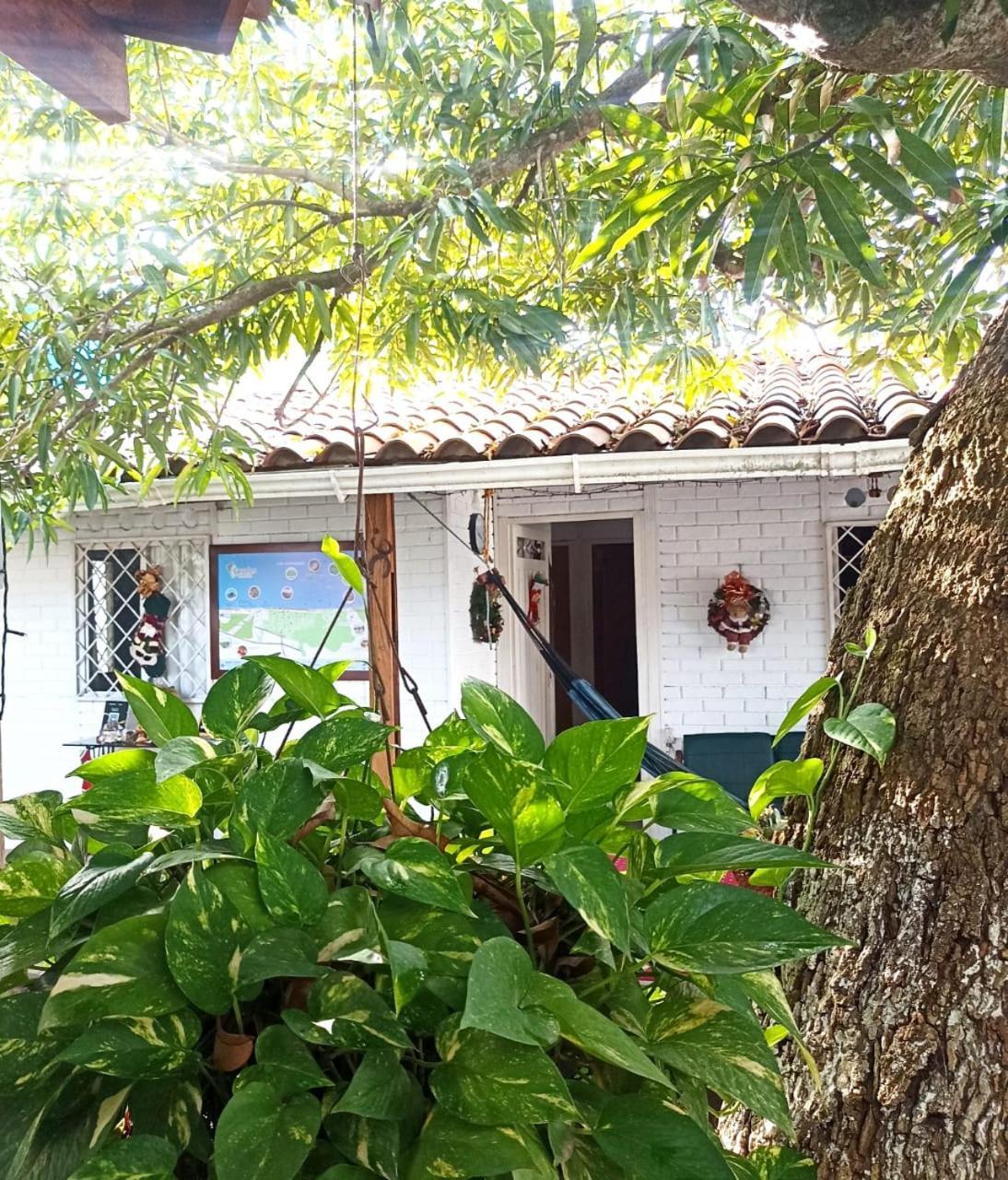 Hostal Corales Tolu Bagian luar foto