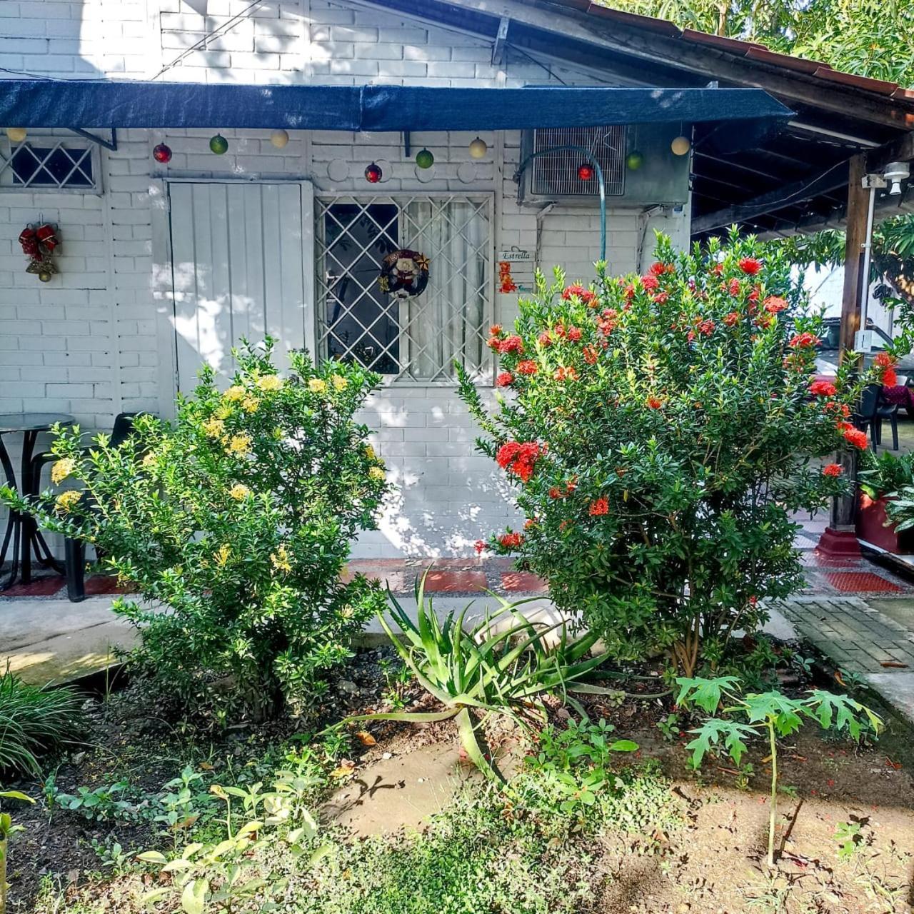 Hostal Corales Tolu Bagian luar foto
