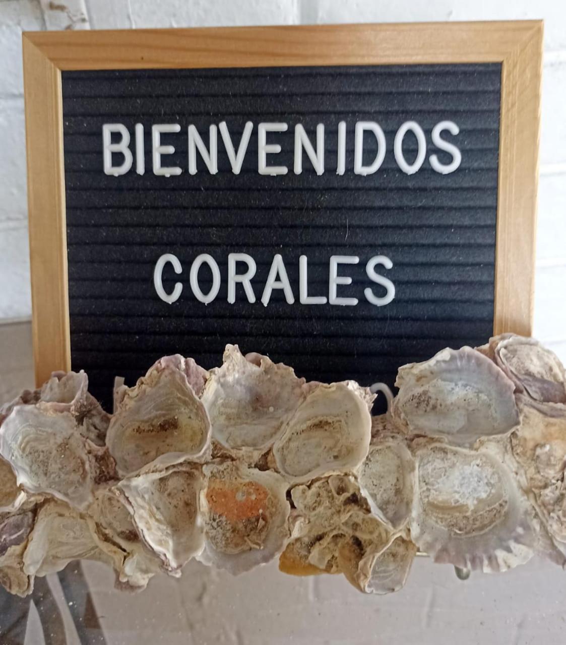 Hostal Corales Tolu Bagian luar foto