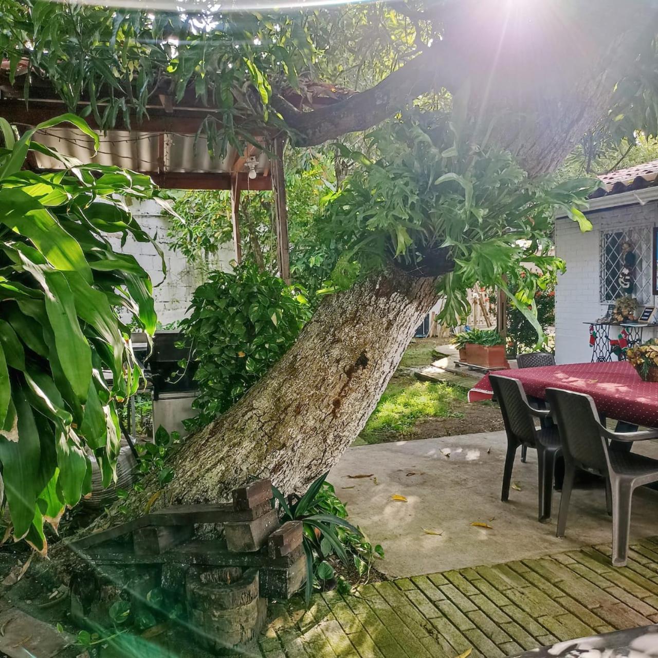 Hostal Corales Tolu Bagian luar foto